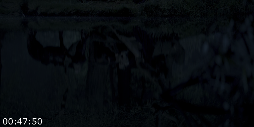 6x1oigml4a0b.png
