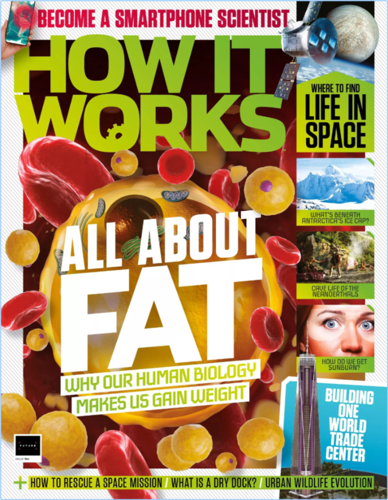 [Image: aonnse25v04s.png]