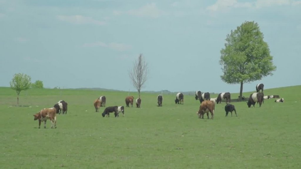 [Image: l5vjbjzd702y.jpg]