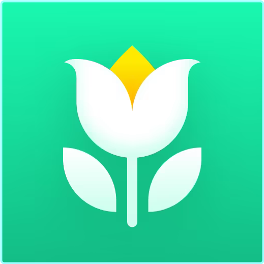 fnb61eb55fbr.png