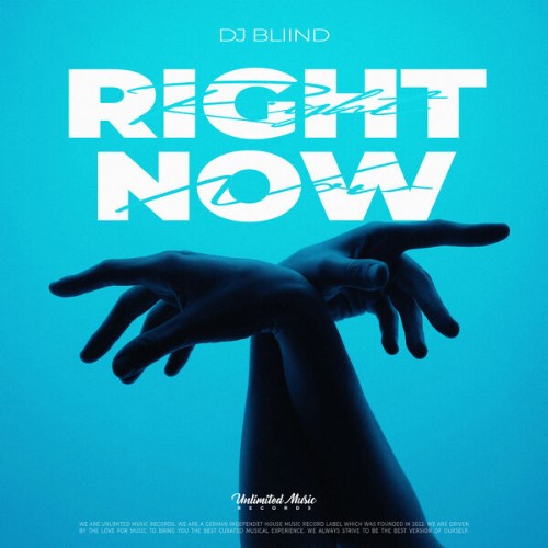 DJ-Blii-ND-Right-Now-Na-Na-Na-Techno-Ver