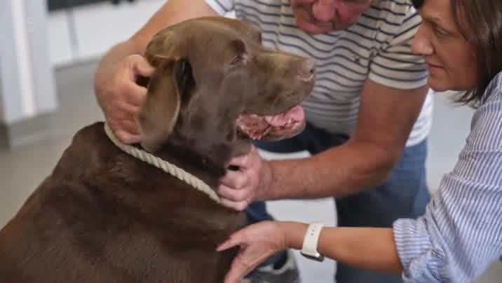 [Image: 9u1w9zfz6gyz.jpg]