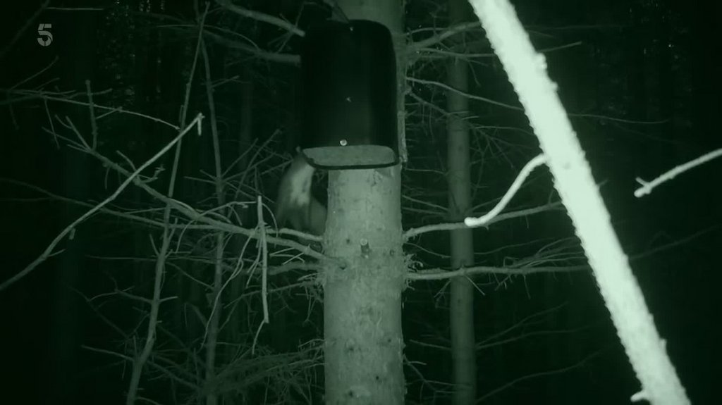 [Image: xq0w2fzq11lf.jpg]