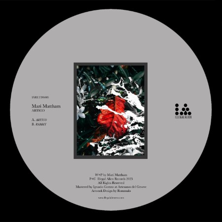 Mari Mattham - Artico (2025)
