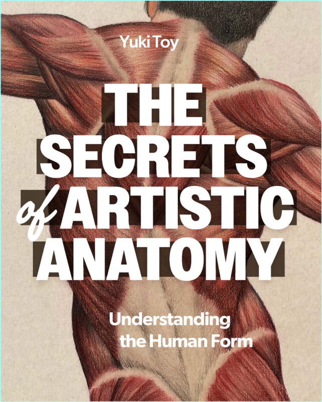 The Secrets Of Artistic Anatomy (Yuki Toy)