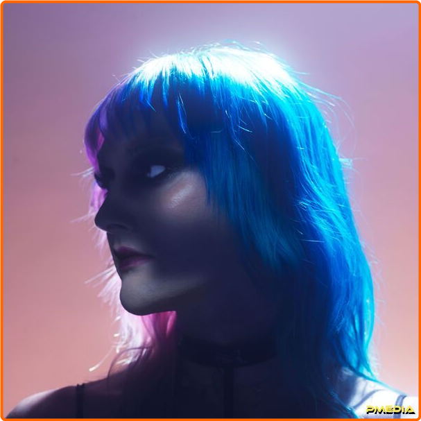 https://i.postimg.cc/TT88gsHv/o2d55nl0ytzc.png