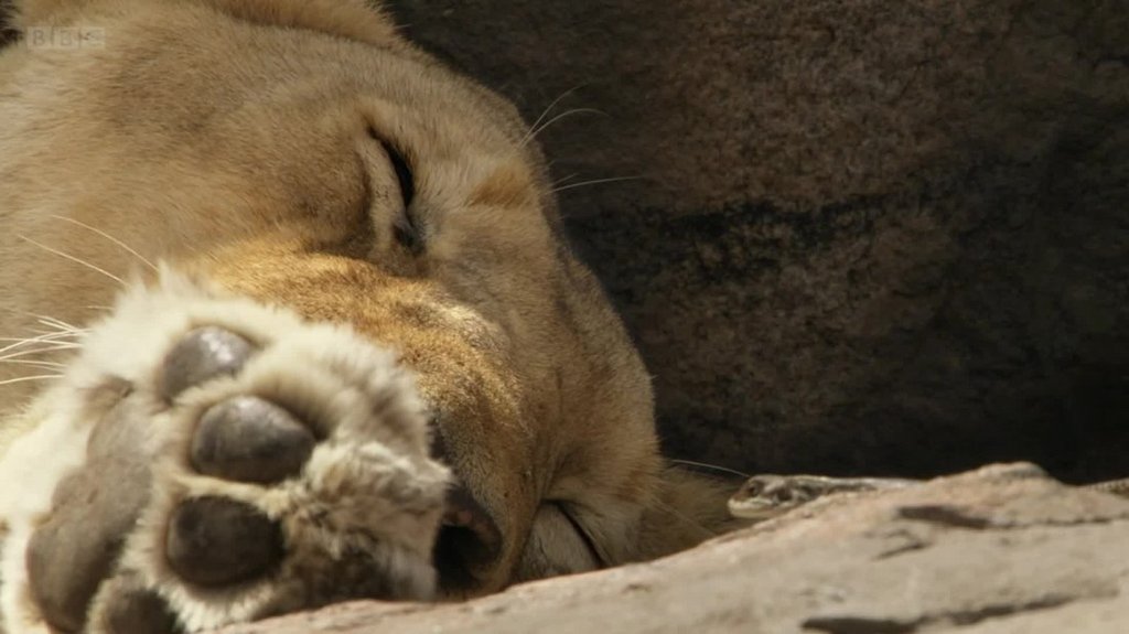 [Image: zfdka550cp5r.jpg]