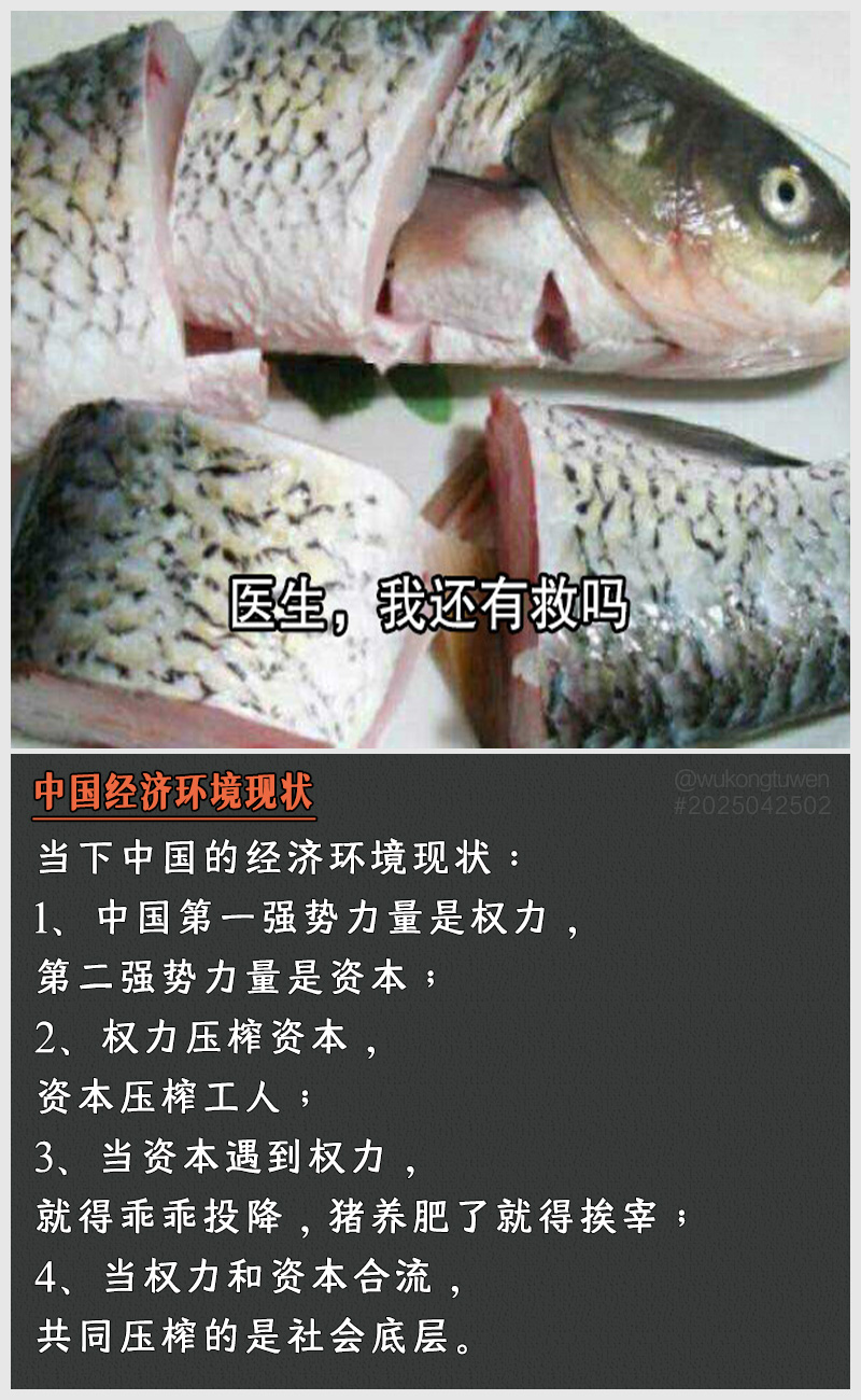 https://i.postimg.cc/TTL31RQM/2025042502.jpg