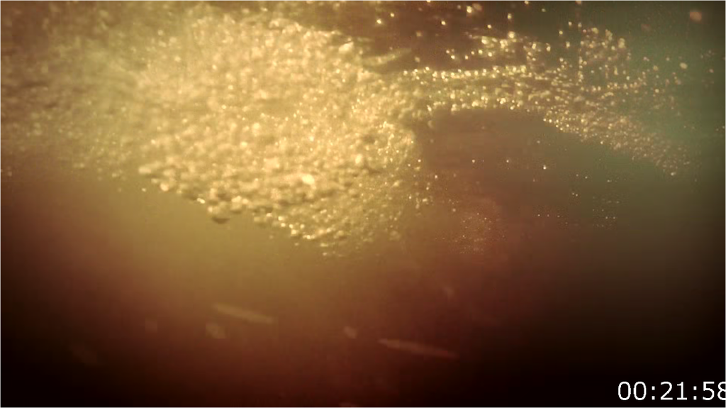 [Image: 2cwocia8y07f.png]