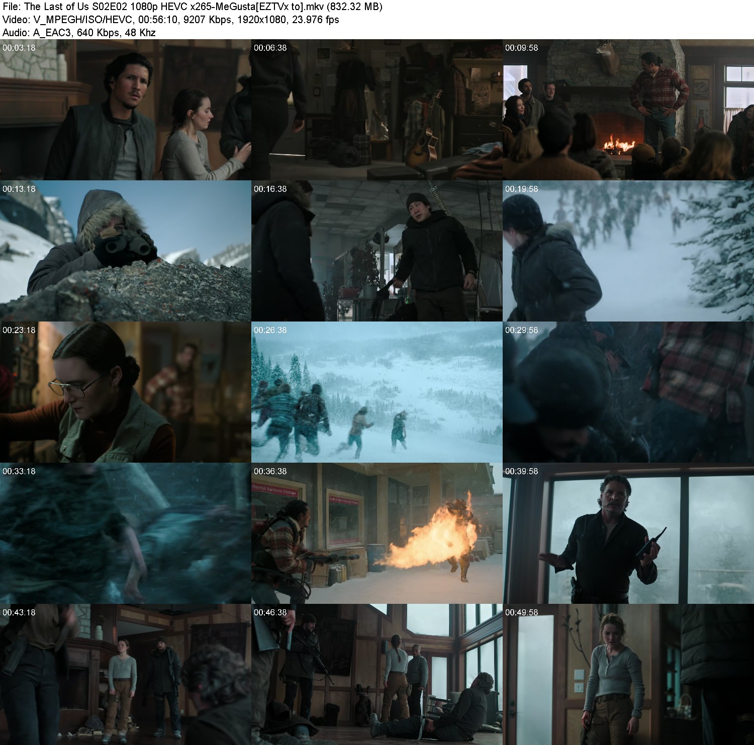 [Image: vz6wml35fdm6.jpg]