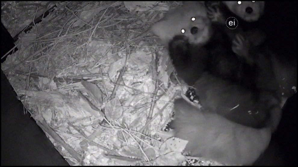 [Image: 28taw1rud3dh.png]