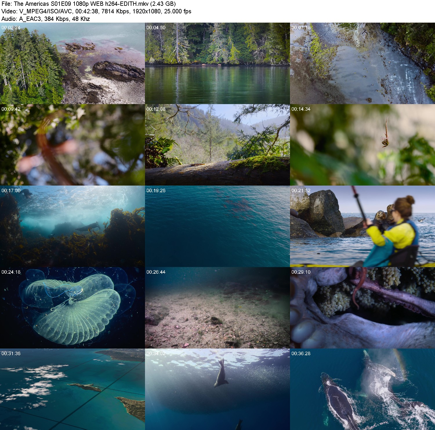 [Image: 6o7sxvjgq33b.jpg]