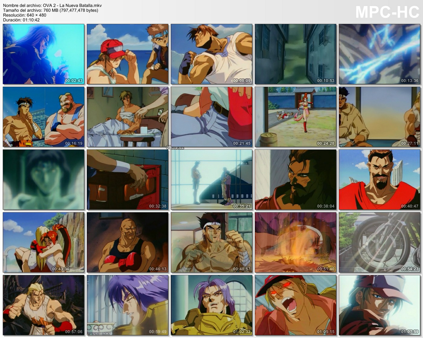 Fatal Fury - [Pelicula + OVAS] (1992-1994) [1080p] [Japones]