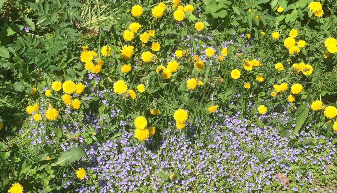 B90FDCB6-2A21-42A8-B851-21D28B588A67