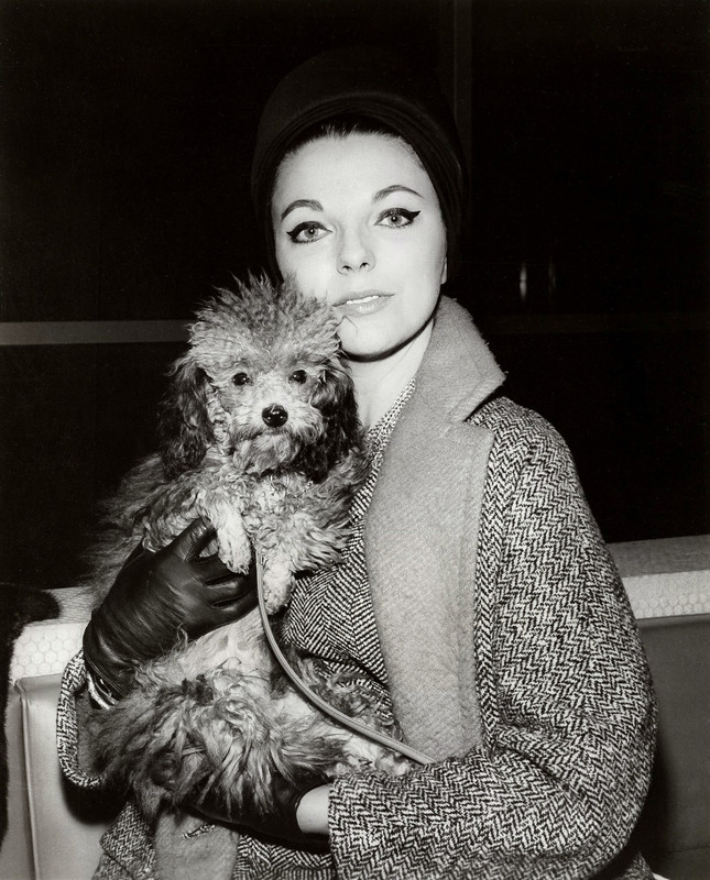 Joan_Collins_d12