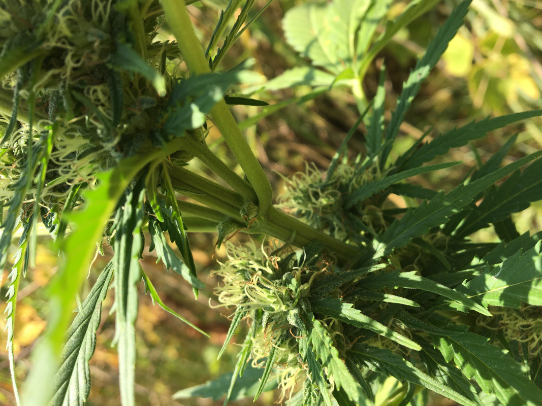 8714E6FC-D101-4EE2-A2FC-B852FAF1FC96