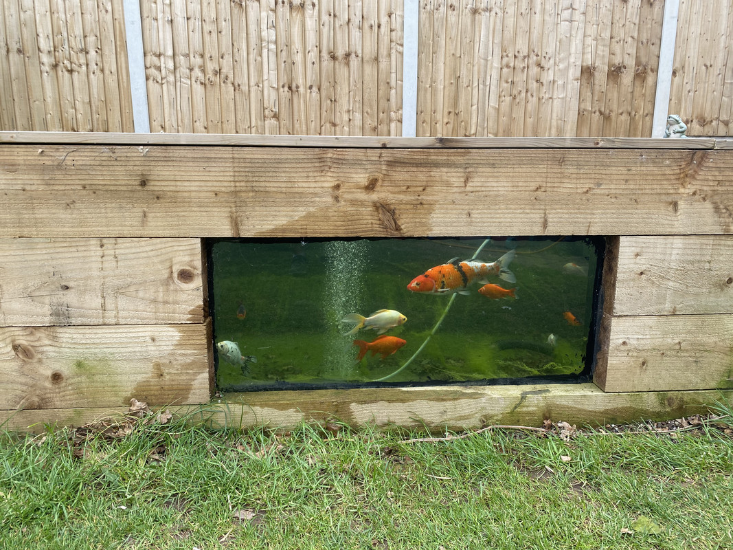 8DBD7C5C-479A-402A-B2FE-5CAFD1A9BF33