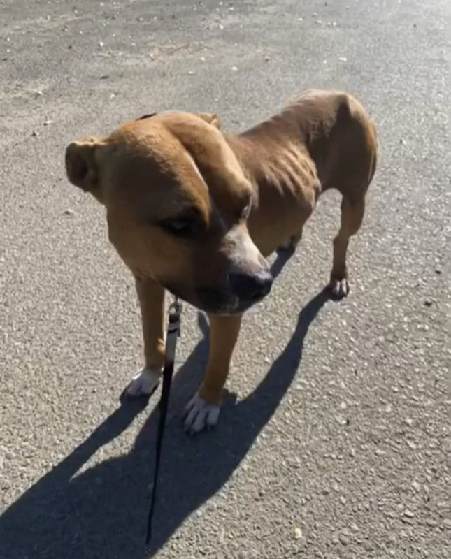 94BC9DCB-044D-4591-8ECB-70BEC8CDCF31