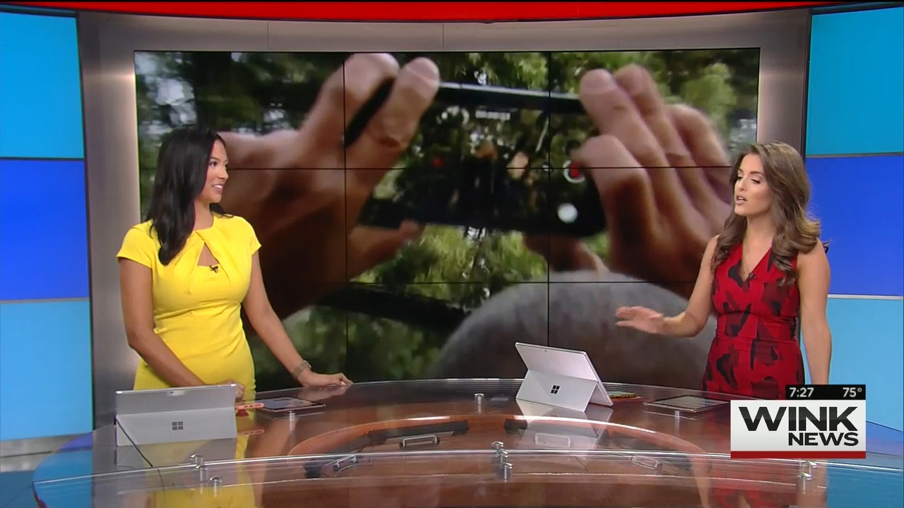 10.25 - 10.00.00 - WINK News @ 6 00AM Sunday..ts_snapshot_28.38.021
