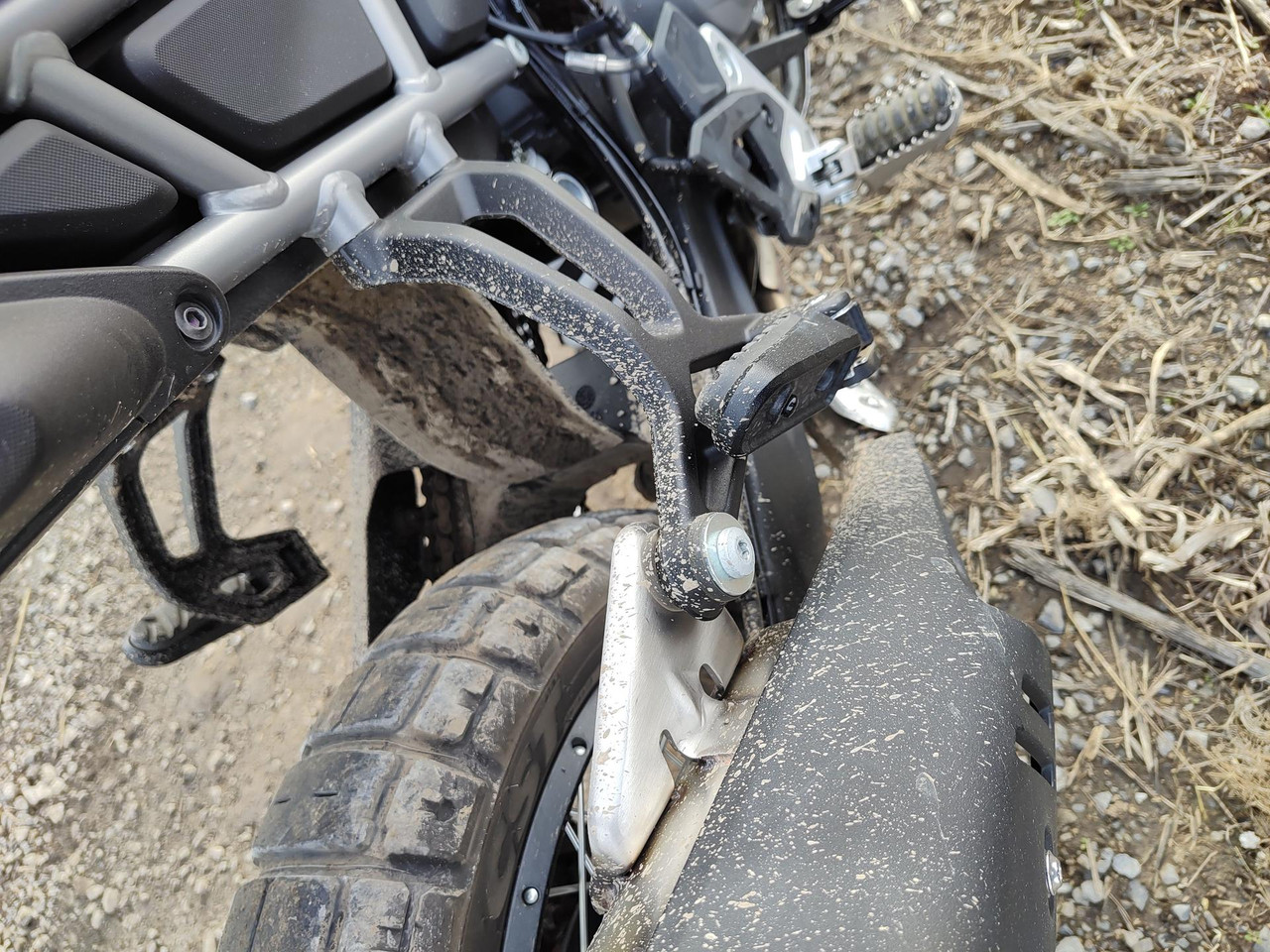 IMG 20251115 132801365