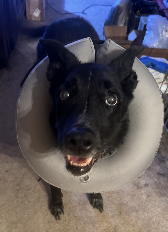 75350058132__D2EEA6BB-5BFE-4FD3-9273-D884CC4E59EC