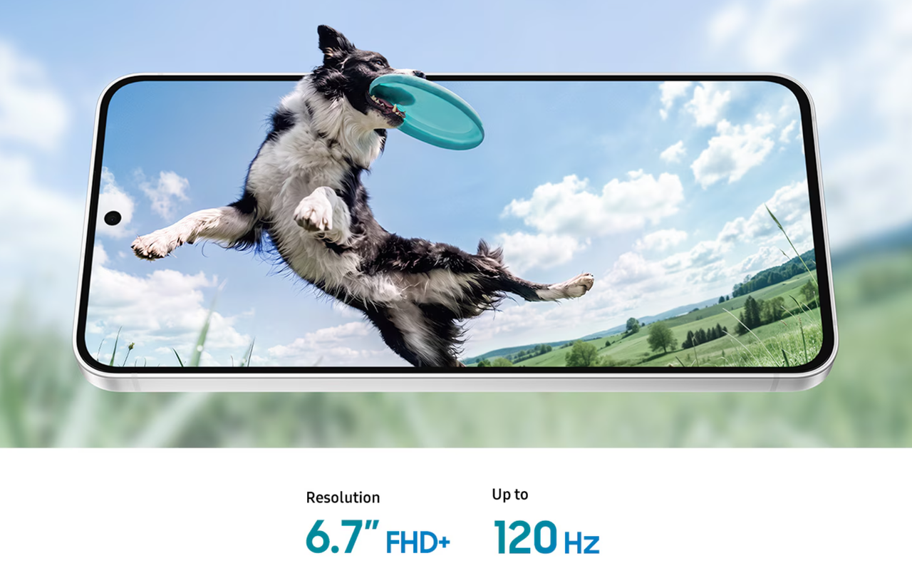 Immersive 6.7-Inch Dynamic AMOLED 2X Display