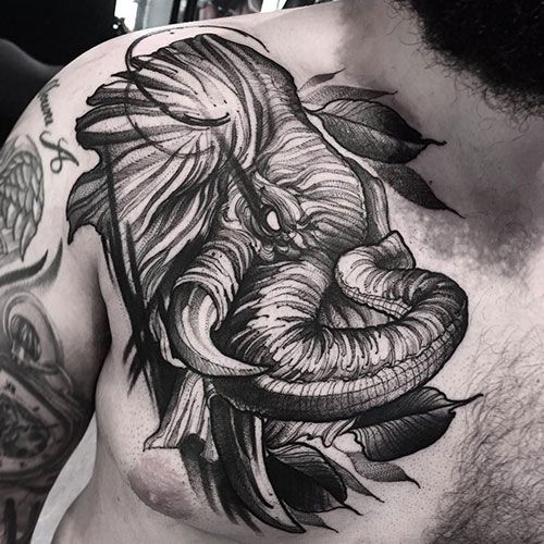elephant