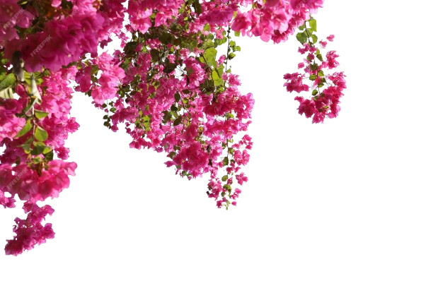 Decorative flower blooming from top left