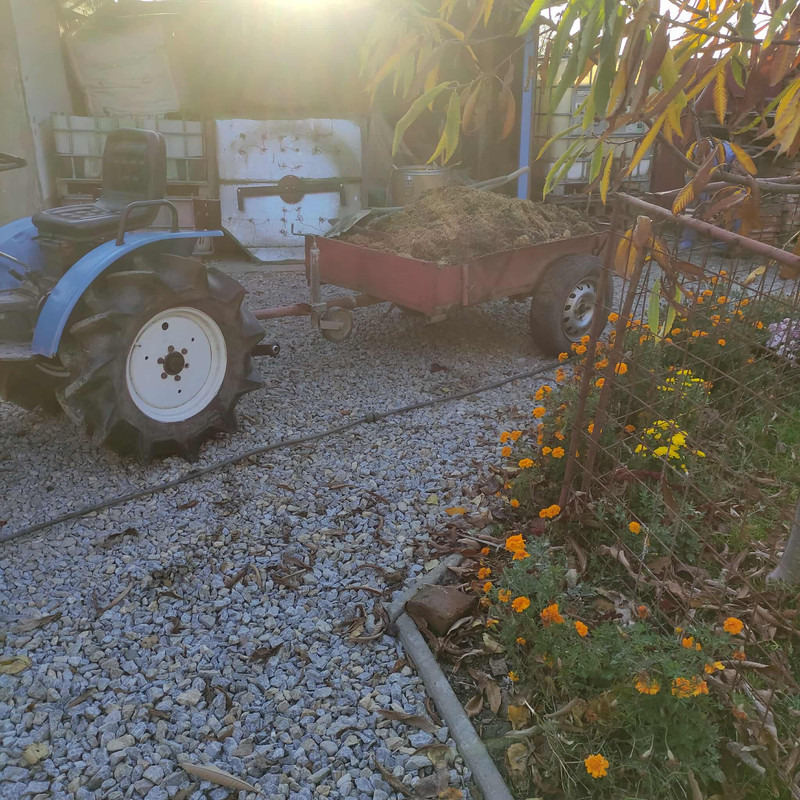 572271451 1364606438342722 5206864840217584688 n