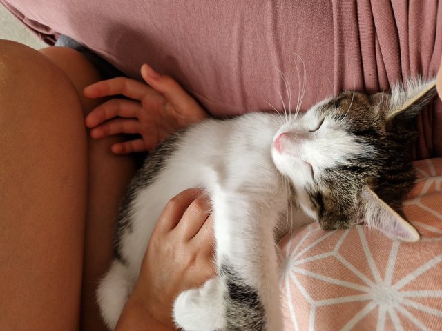 Slika