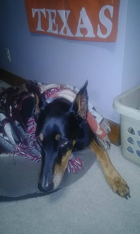 42528190_493816094426059_290689326103553