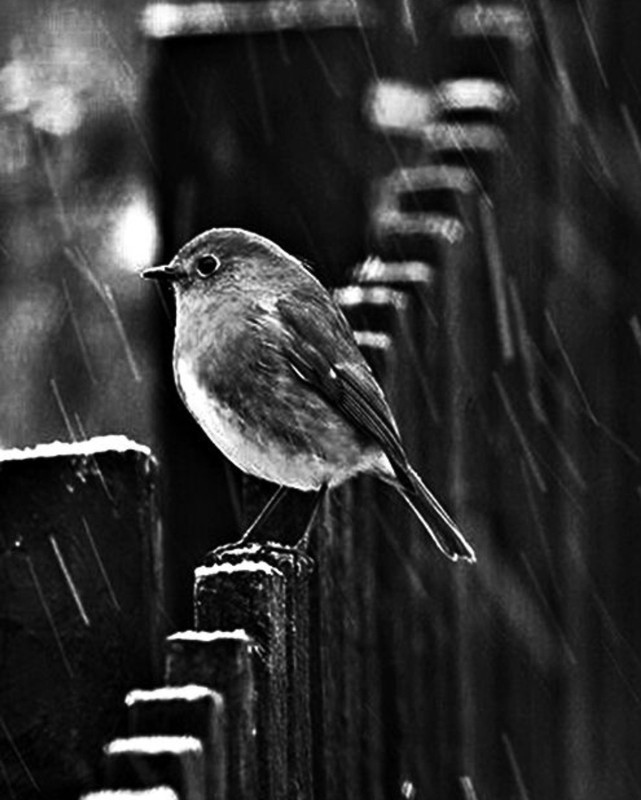 Screenshot_20230319_004826_Pinterest