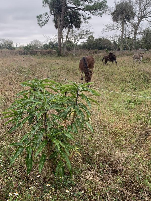 B5C2FDC4-D379-44C4-9503-F9F30A900260