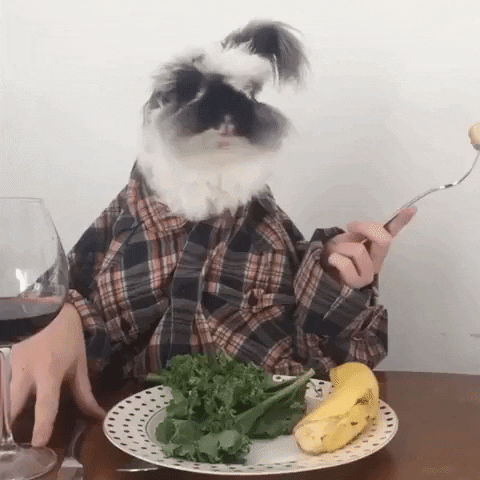 giphy-3.gif