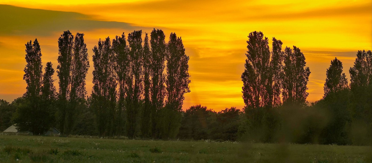 orange-sunset-shropham.jpg