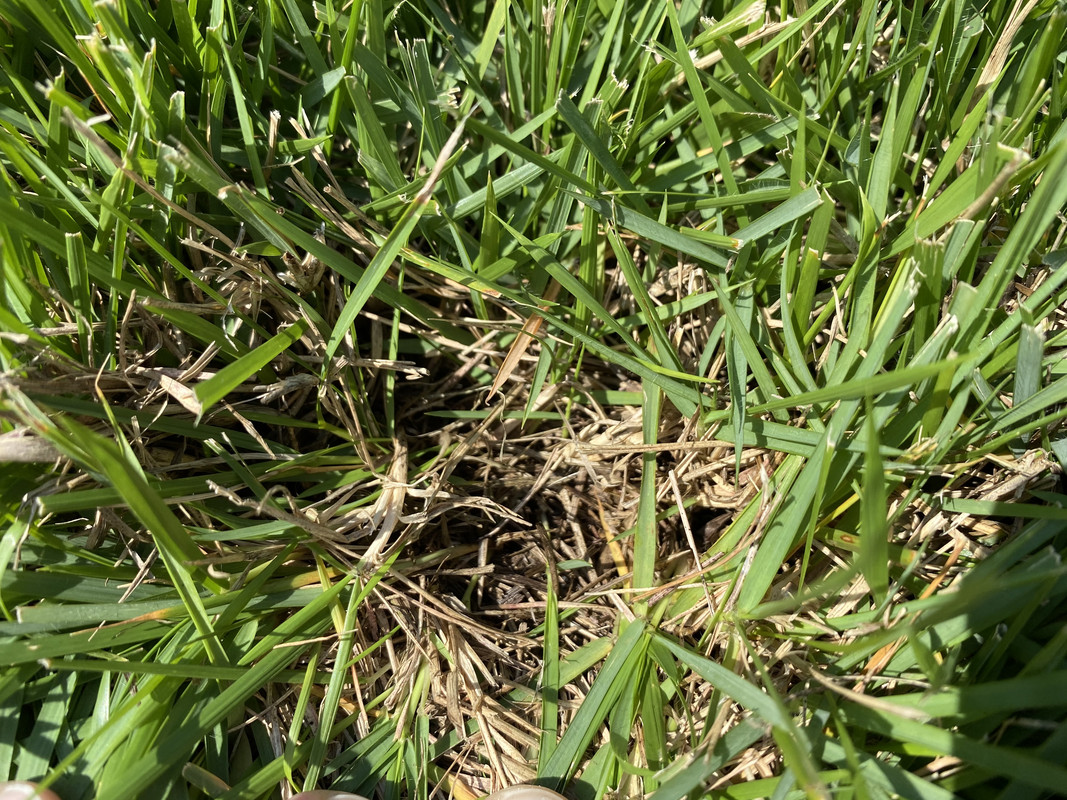 5C95B3DB-207D-4107-9E26-58067FEF63AE