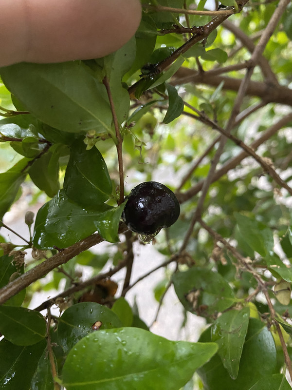 A4E17BA0-102D-4CC0-9260-4700882783E6