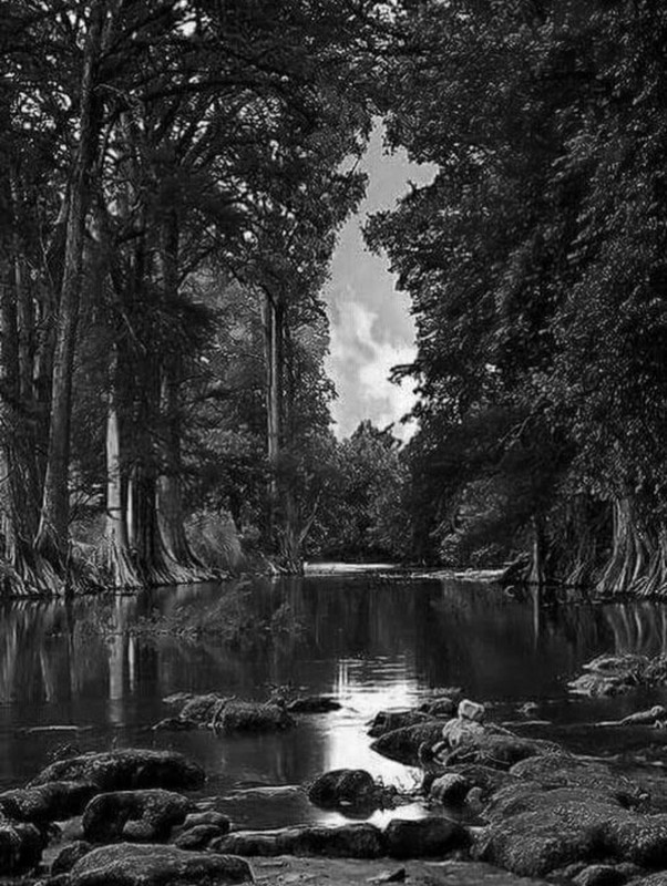 Screenshot_20230102_155500_Chrome