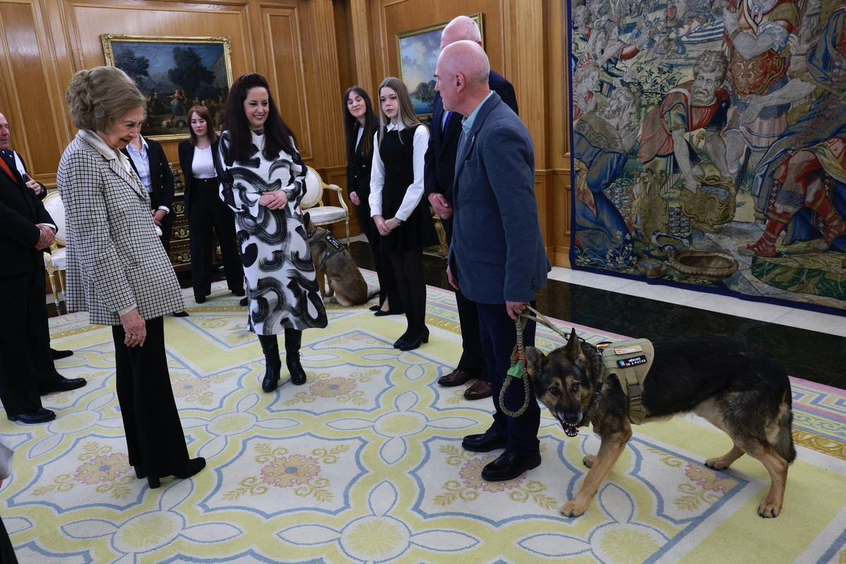 RS_audiencia_héroes_4_patas_20250210_03