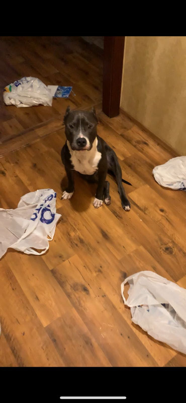 E47CB1D0-1FAF-487F-ABCE-261A4826EC0C