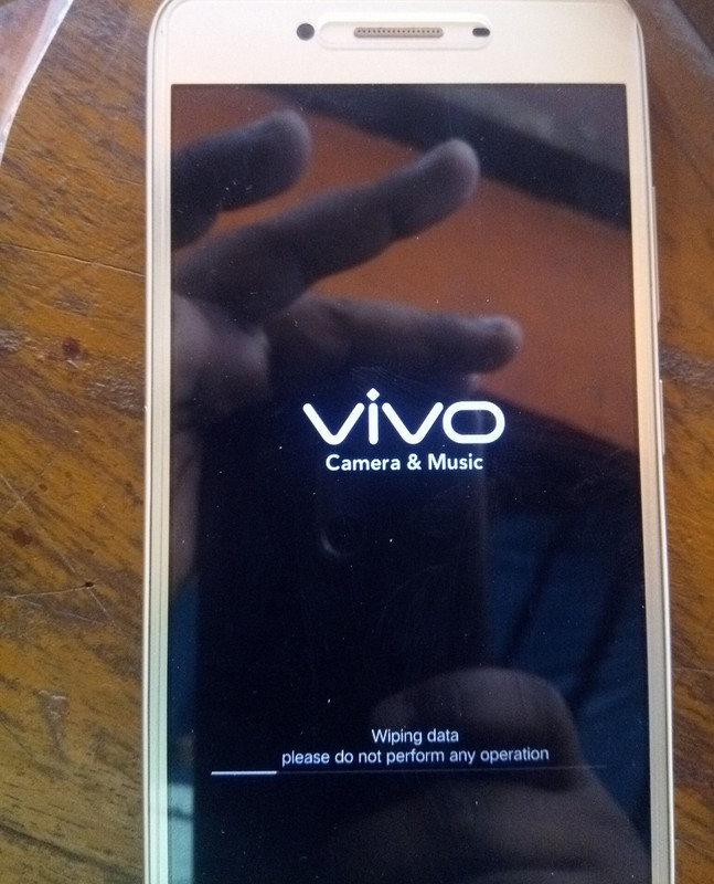 Vivo-1606-y-53-resize.jpg