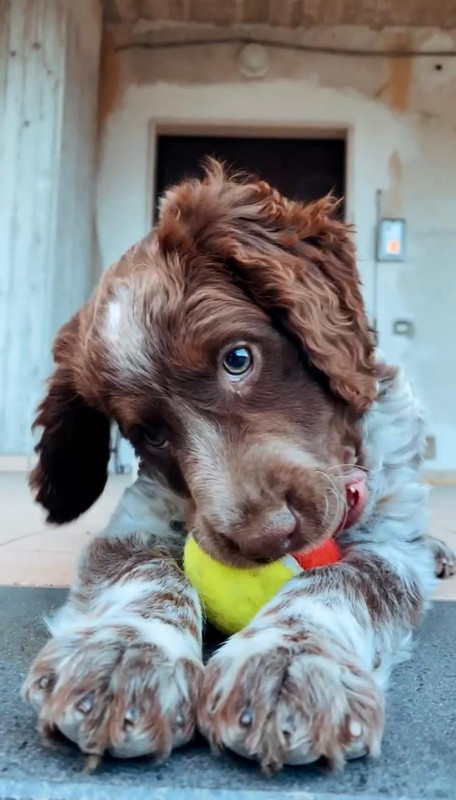 ABB5227D-9352-4B3B-A725-D38E9FFB74AC