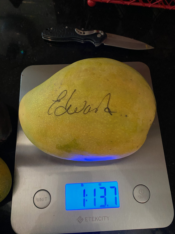 MangoEdward72020