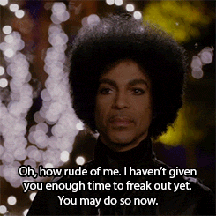 prince-you-may-freak-out-now.gif