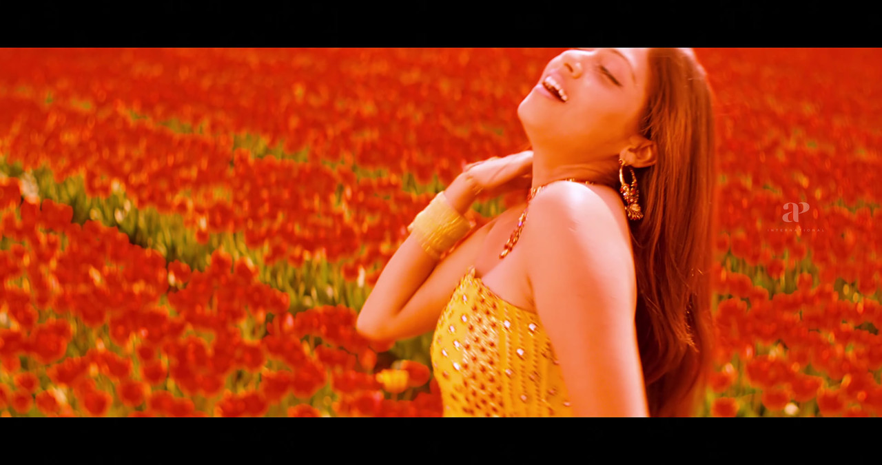 VideoCapture_20241122-200100