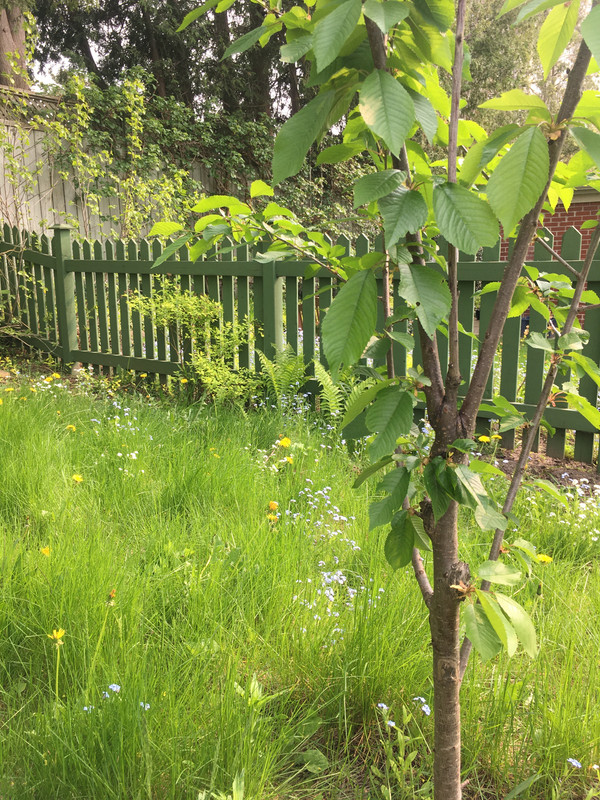 04A4BC0B-87BC-40EF-99D1-8E71BEC21C2A