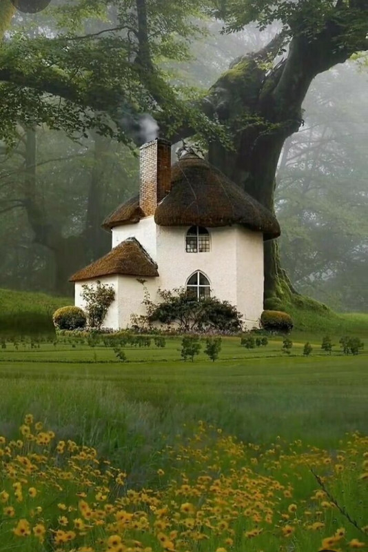 Screenshot_20240325_232736_Pinterest