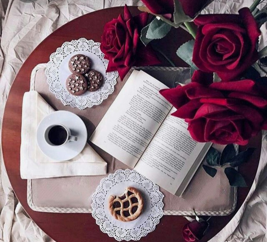 Screenshot_20230225_013156_Pinterest