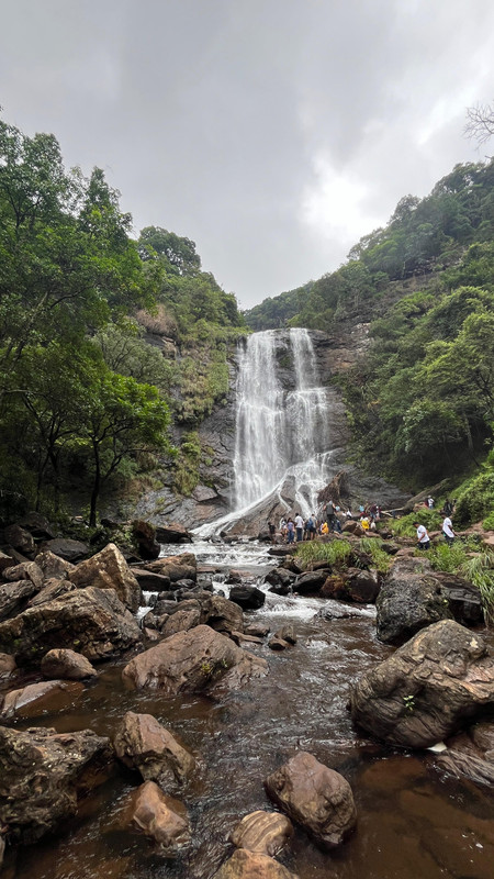Bhadra Wildlife Safari
