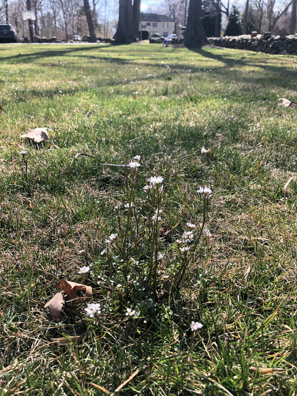 6540B2B9-B6E2-4DA3-98E0-1927F69754D4